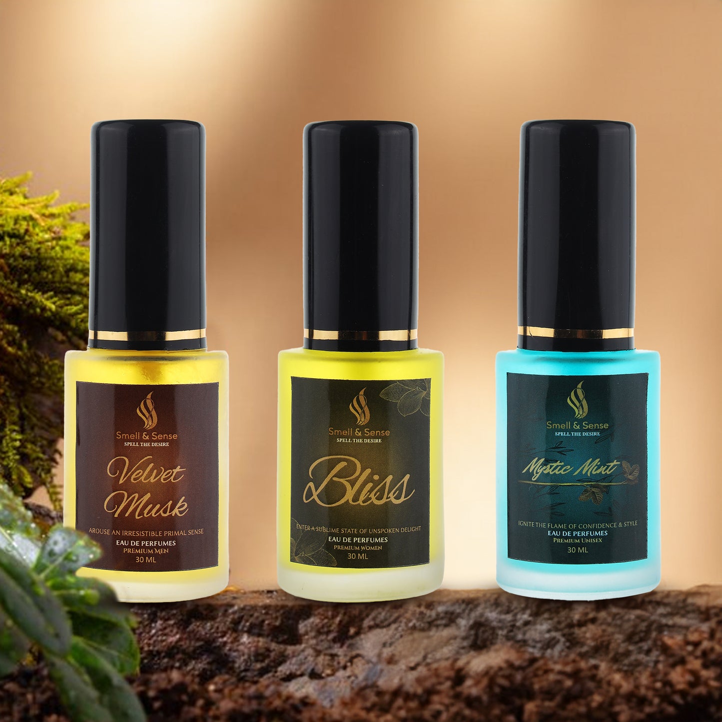 30 ML Combo Pack of 3 - Velvet Musk | Bliss | Mystic Mint